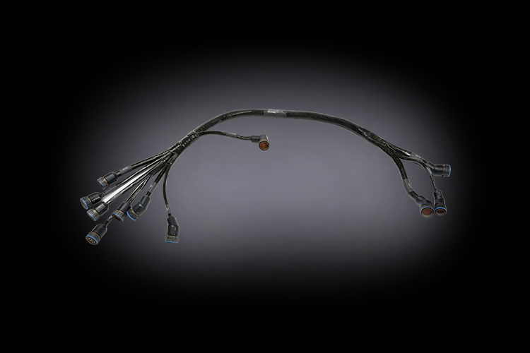 Weapon Harness