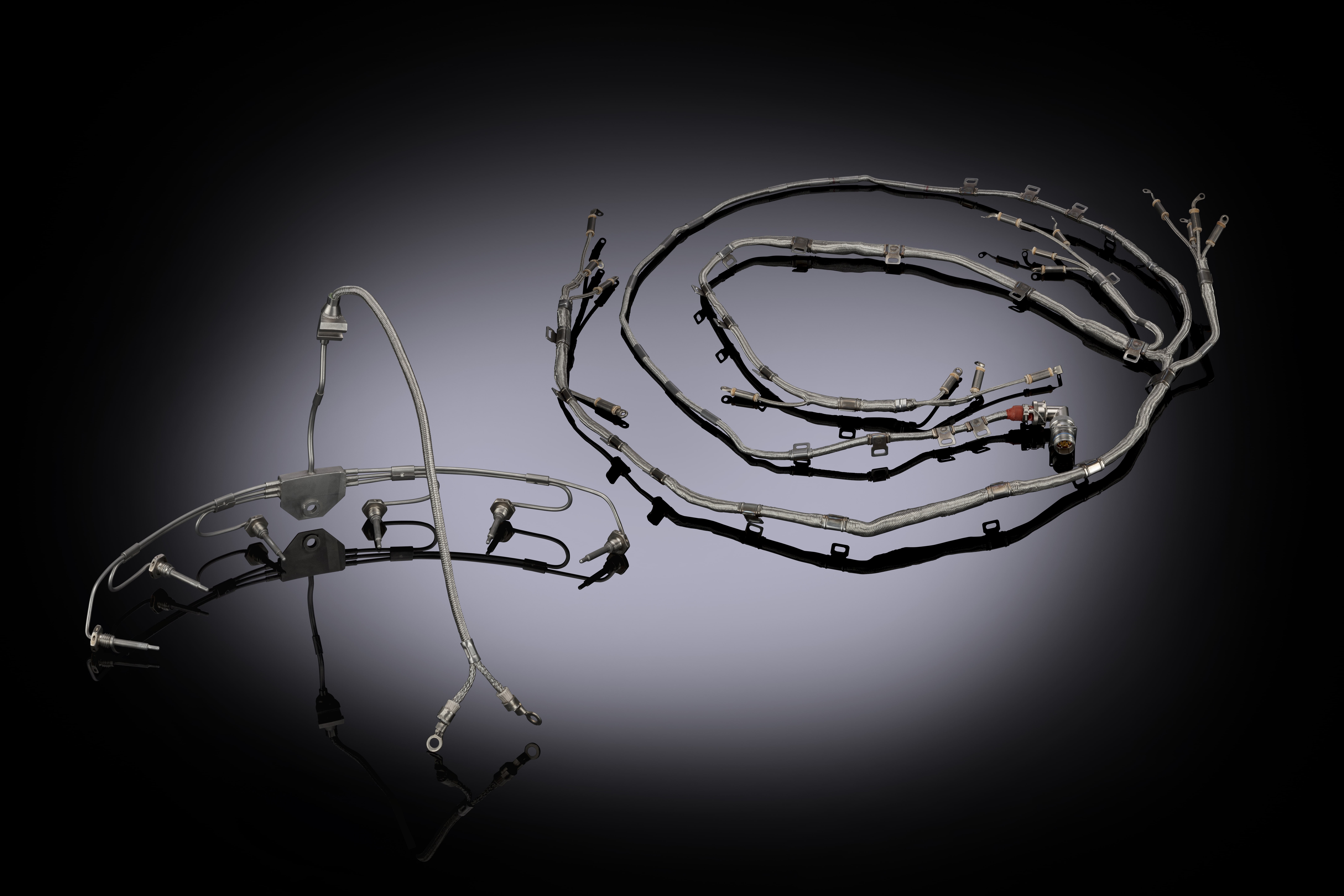 Harnesses